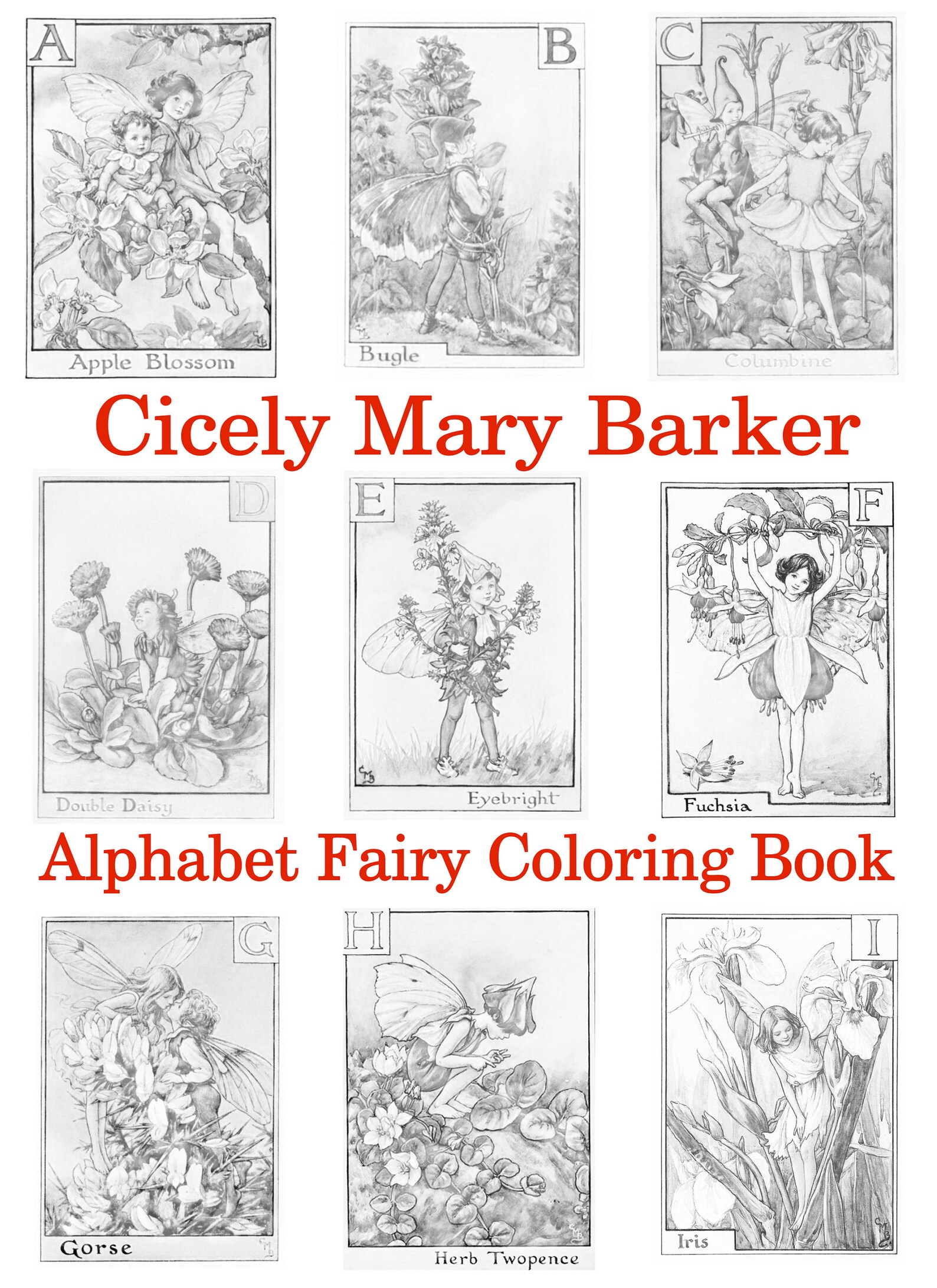Cicely Mary Barker flower fairies Coloring Pages Alphabet ...