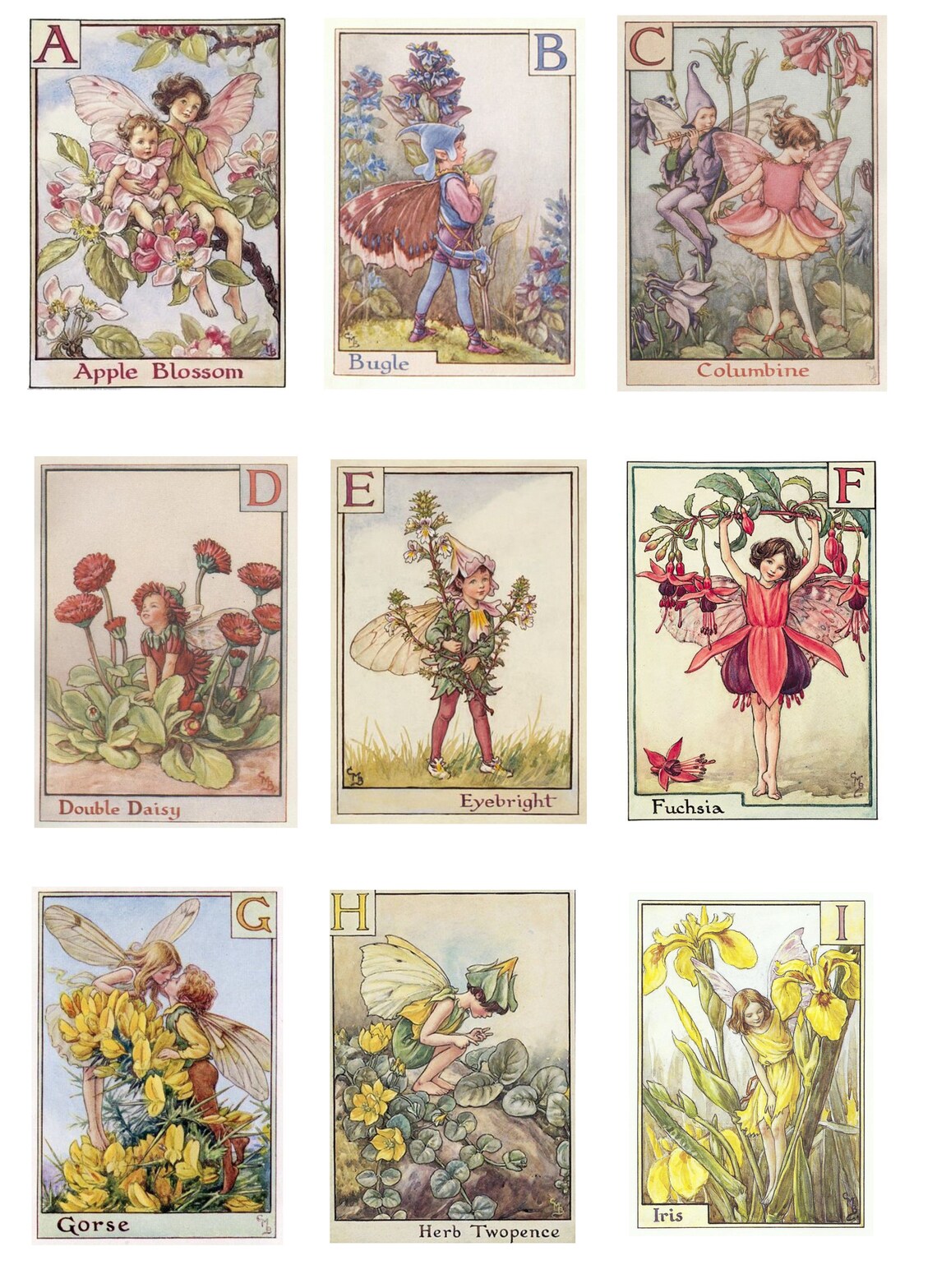 Animal Cicely Mary Barker Flower Fairies Coloring Pages 