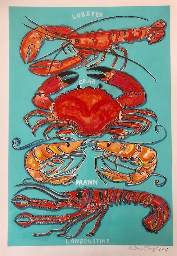 Lobster Crab Prawn Langoustine Etsy