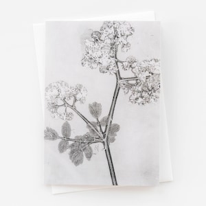 Botanical Greeting Card, Blank Card, Nature Inspired Art Card, Wildflower Print Note Card, Flower Stationery, Nature Stationery