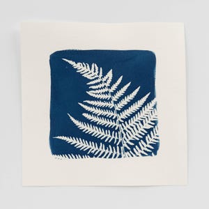 Botanical Cyanotype Art Print, Fern Art Print, Botanical Wall Art, One-of-a-kind Original Art, Calm Wall Art, Nature Inspired Art