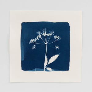 Botanical Cyanotype Art Print, Wildflower Art Print, Botanical Wall Art, One-of-a-kind Original Art, Calm Wall Art, Nature Inspired Art