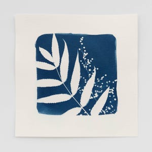 Botanical Cyanotype Art Print, Wildflower Art Print, Botanical Wall Art, One-of-a-kind Original Art, Calm Wall Art, Nature Inspired Art