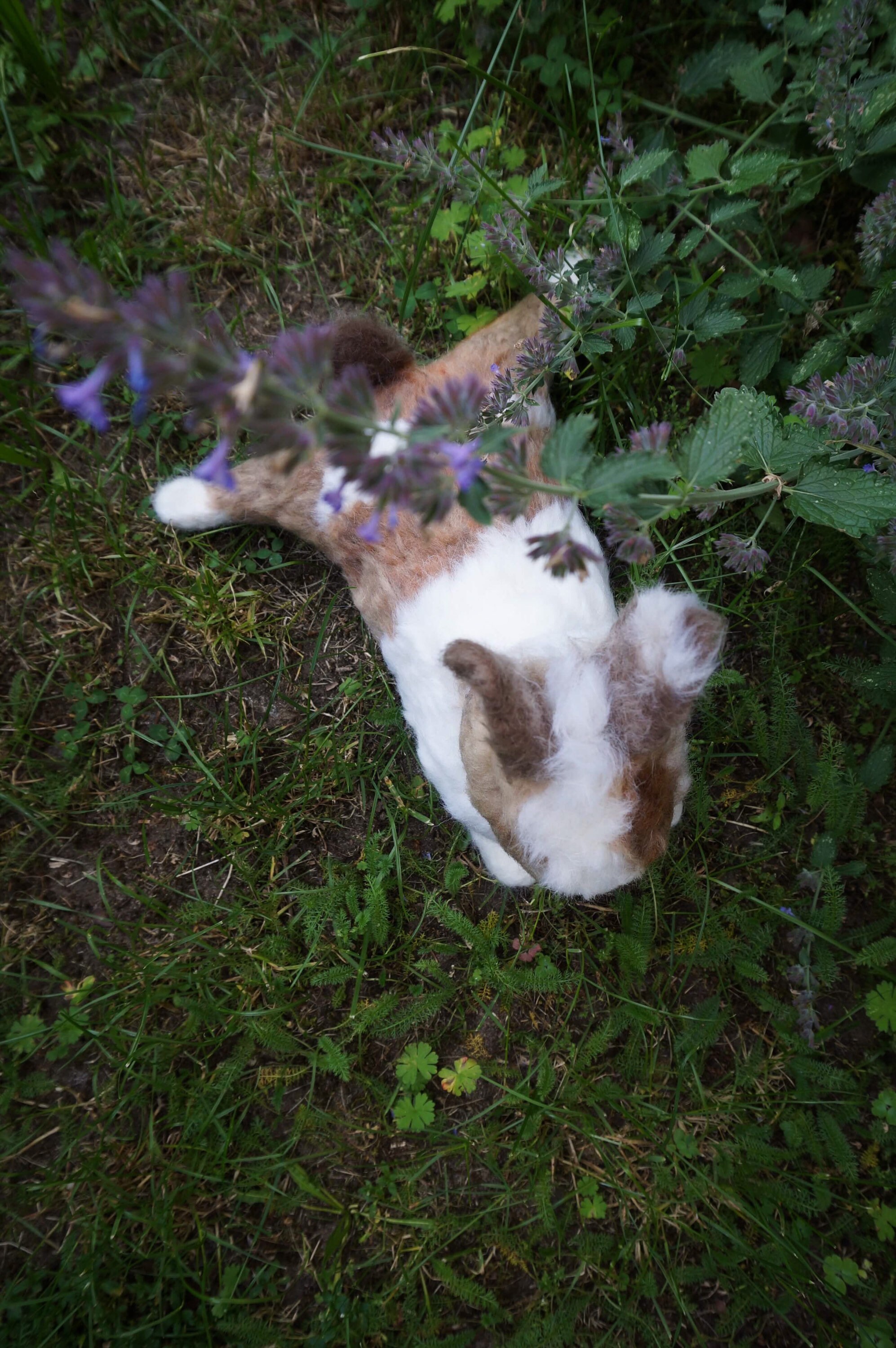 Bunny Sculpture, Lifesize Rabbit Figurine, Custom Rabbit Portrait, Gift ...