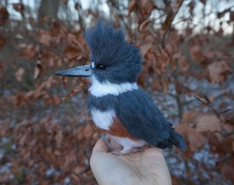 絵画J・HOOK KINGFISHER IN AN EXOTTC GARDEN 1964 