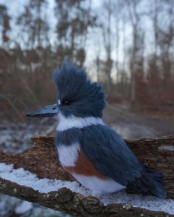 Belted Kingfisher Sculpture/ Kingfisher OOAK/ Needle Felted Bird