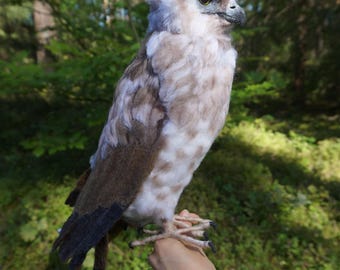 May include: A hand holding a brown and white stuffed bird with a long tail. The bird has a fluffy head and a sharp beak. The background is a blurred green forest.