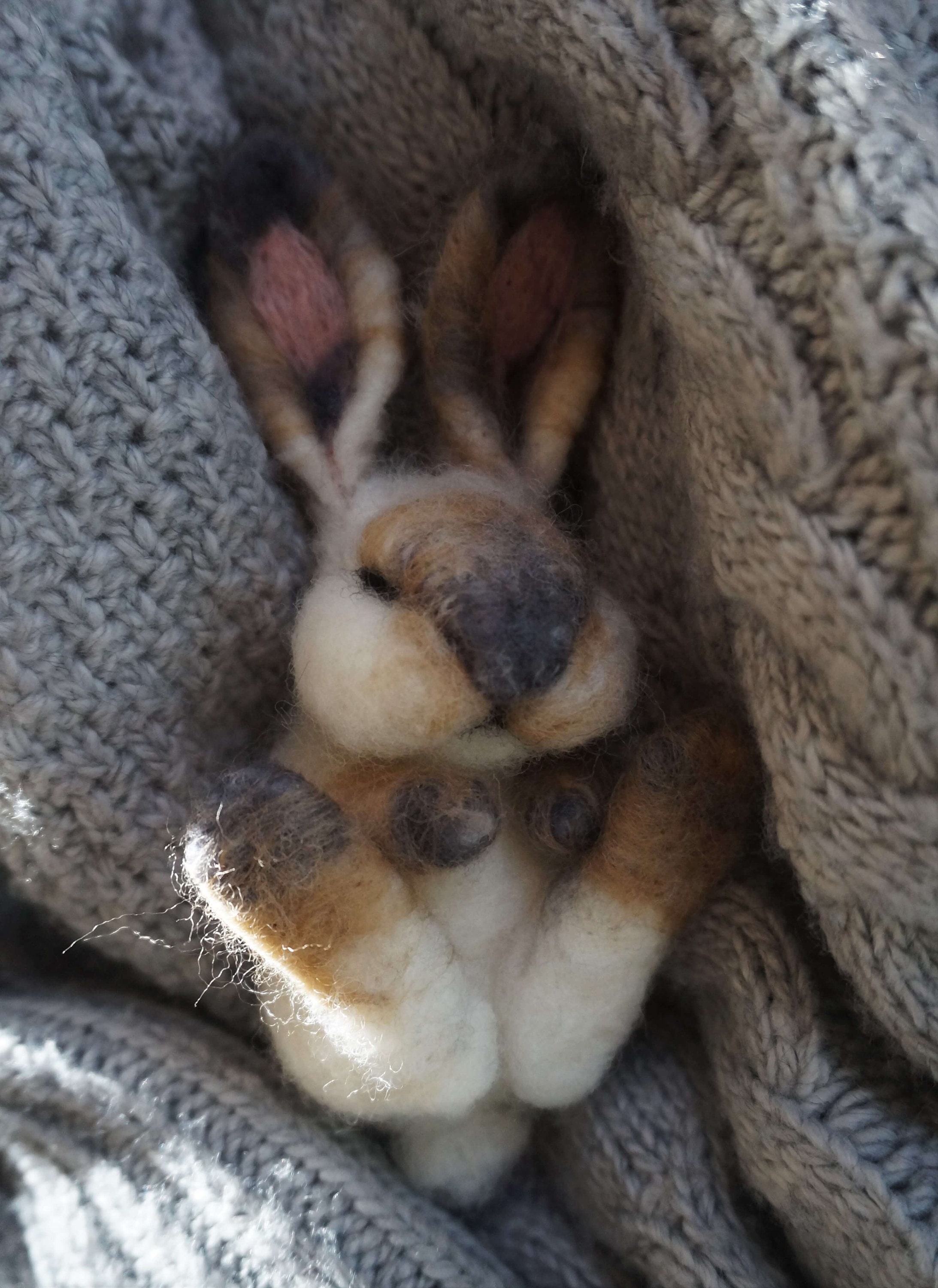 Needle felted Sleeping Bunny, Little Bunny OOAK, Bunny photo prop ...