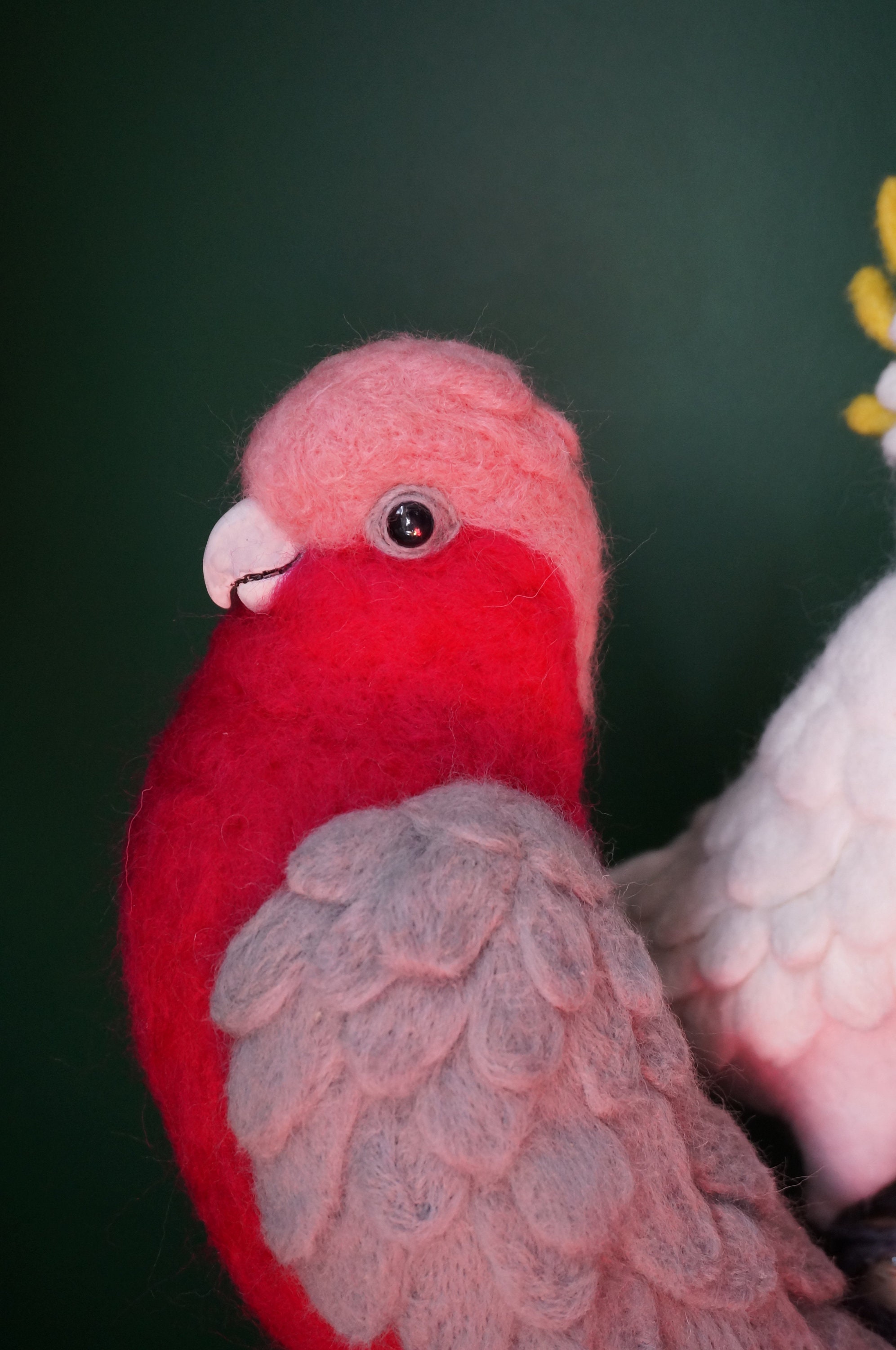 Galah plush hot sale