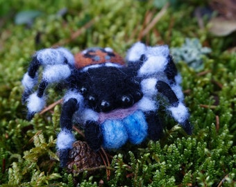 Spider brooch, Insect jewellery, Insect pin, Tarantula accessories, Insect hair clip, Realistic OOAK Spider