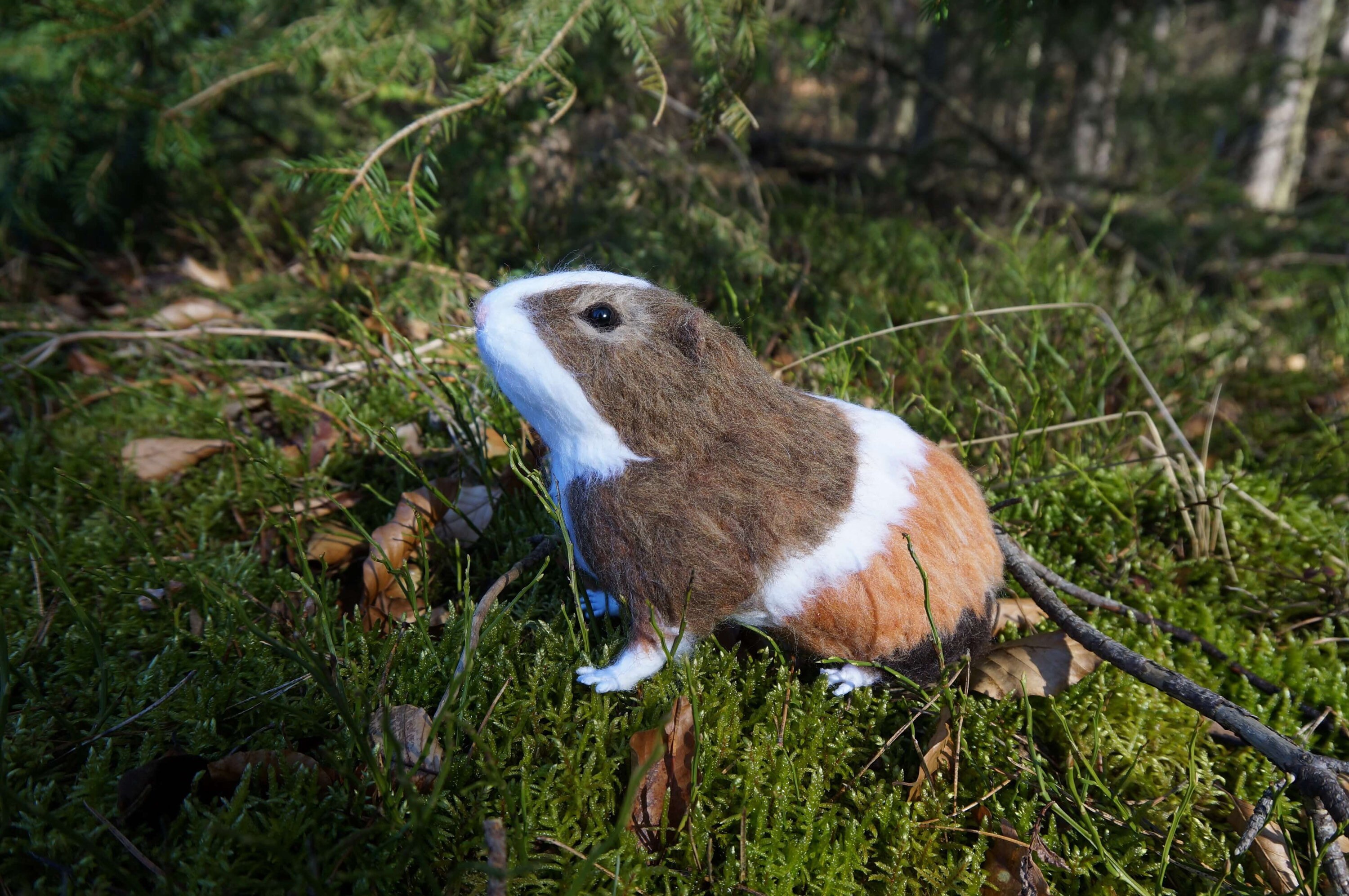 Your Guinea Pig Sculpture Realistic Custom Guinea Pig Etsy Australia