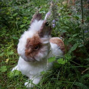 Bunny Sculpture, Lifesize Rabbit Figurine, Custom Rabbit Portrait, Gift ...