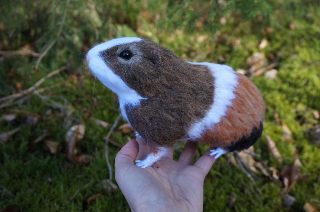 Your Guinea Pig Sculpture Realistic Custom Guinea Pig Etsy