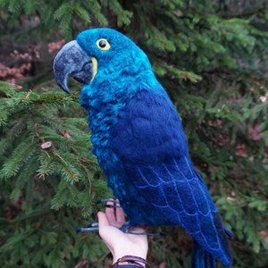 Könnte beinhalten: Ein blauer und türkisfarbener handgefilzter Papagei, der auf einer Hand sitzt. Der Papagei hat einen gelben Schnabel und schwarze Augen.