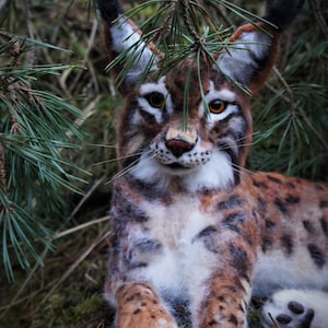 Felted Bobcat sculpture, OOAK lynx, Realistic Bobcat, Lynx figurine, Woodland creatures, Woodland decor, big cats lover gift.