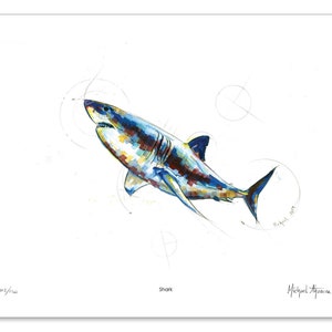 Shark. Limited Edition, Signed Giclée Fine Art Print from my Original Water Colour Painting