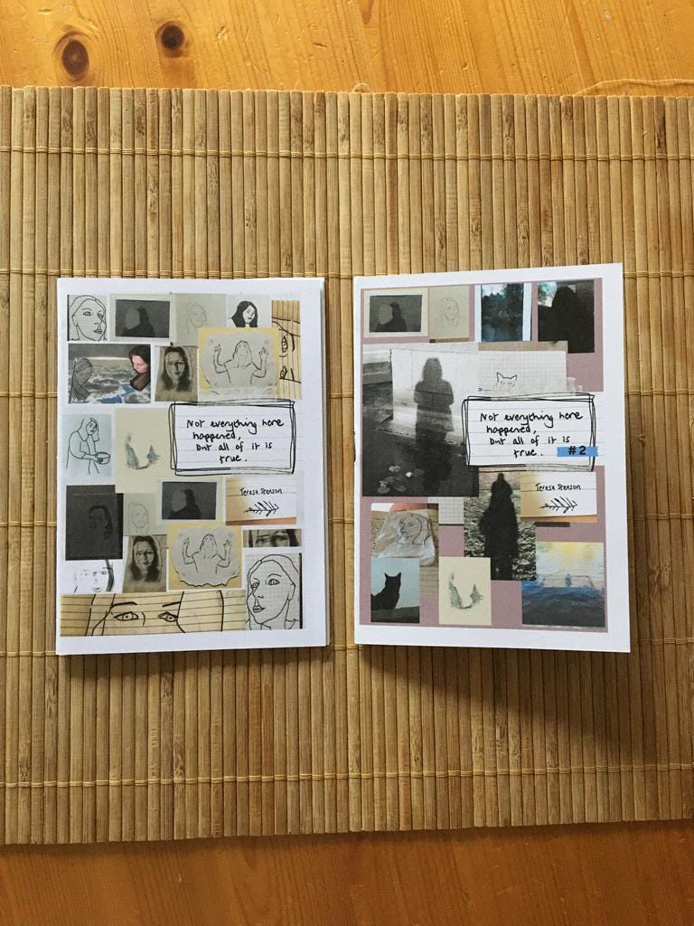 Complete Zine Collection – 15 Indie Zines Bundle – Handmade Art - Etsy