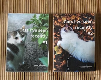El dúo GATOS QUE HE VISTO: Números 1 y 2