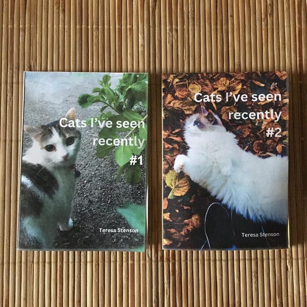 The CATS I'VE SEEN Duo: Issues #1 and #2
