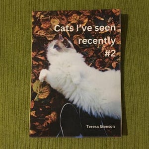 Puede incluir: Portada de libro con un gato blanco y marrón sobre un lecho de hojas otoñales. El título "Cats I've seen recently #2" está en blanco. El nombre del autor, Teresa Stenson, está en la parte inferior.