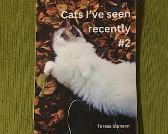 Gatos que he visto últimamente #2: Fanzine