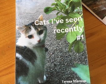 Gatos que he visto últimamente #1: Zine