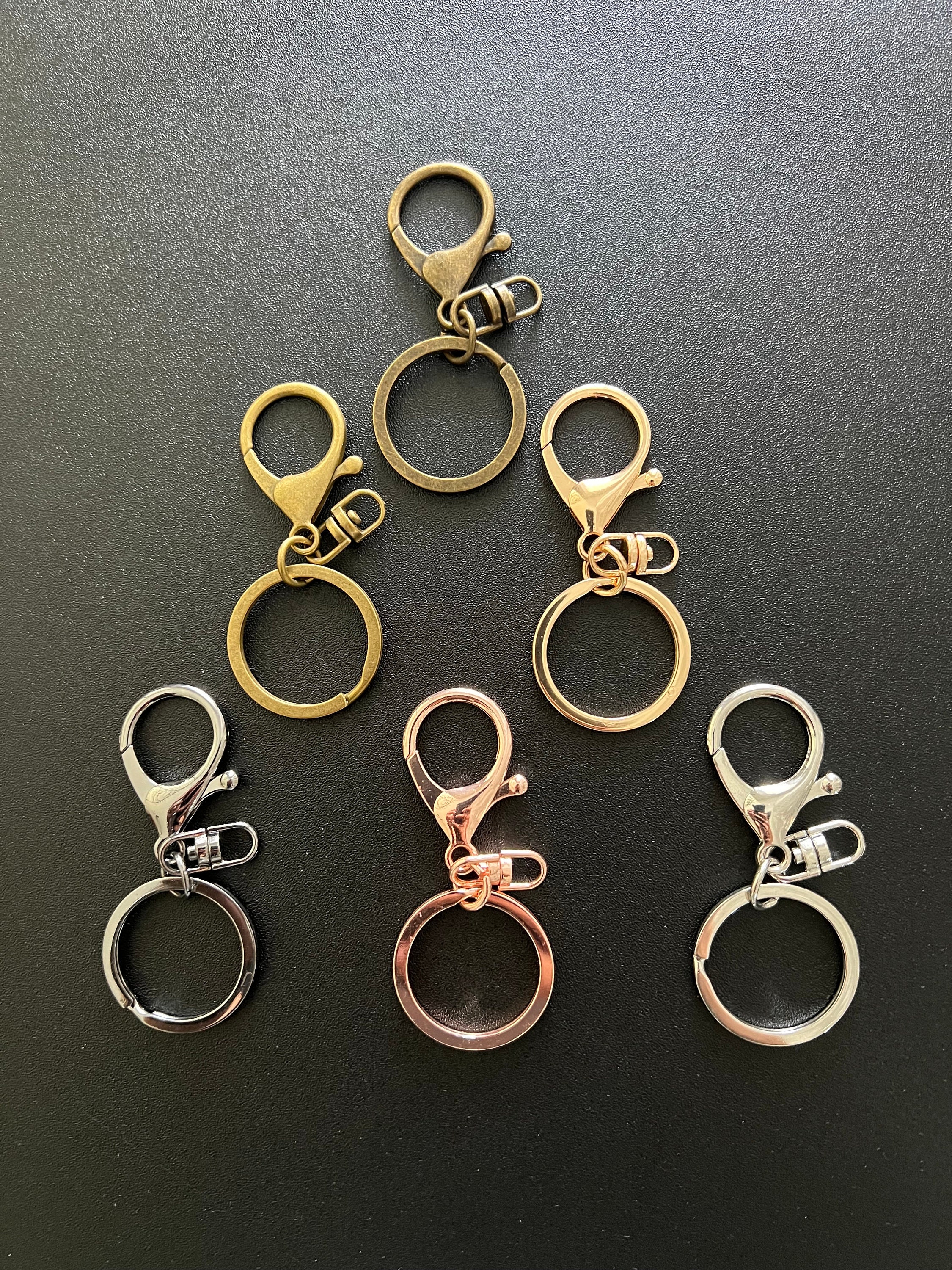 10pc Keychains With Clips, Bulk Key Rings With Clips, Key Ring With Swivel  Clasp, Custom Keyrings, Custom Key Rings, Bulk Wholesale Keyrings 