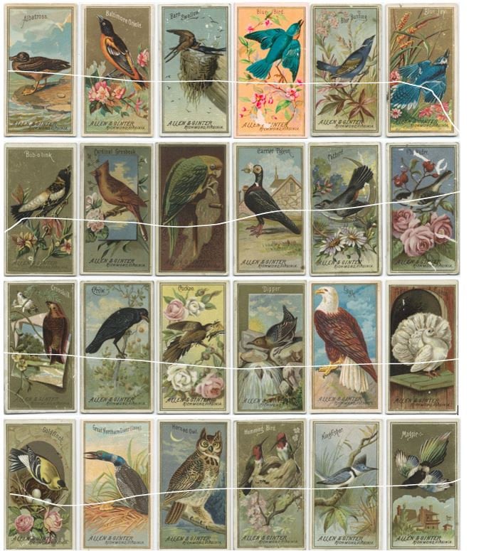 BIRDS OF AMERICA -cigarette Cards