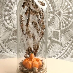 May include: A decorative glass cloche featuring an orange pumpkin figurine surrounded by dried foliage. The pumpkin is set on a bed of dried plant material. The cloche is sealed with a cork base.
