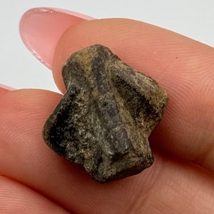 Staurolite Crystal from Taos, New Mexico