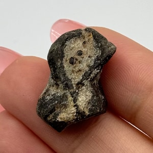 Staurolite Crystal from Taos, New Mexico