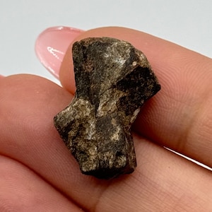 Staurolite Crystal from Taos, New Mexico