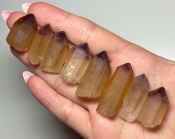Dreamcoat Lemurian Crystal from Brazil