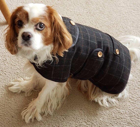 Manteau laine chien sale