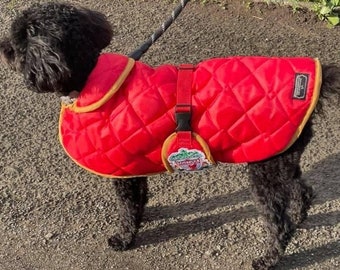 Personalised quilted dog coat