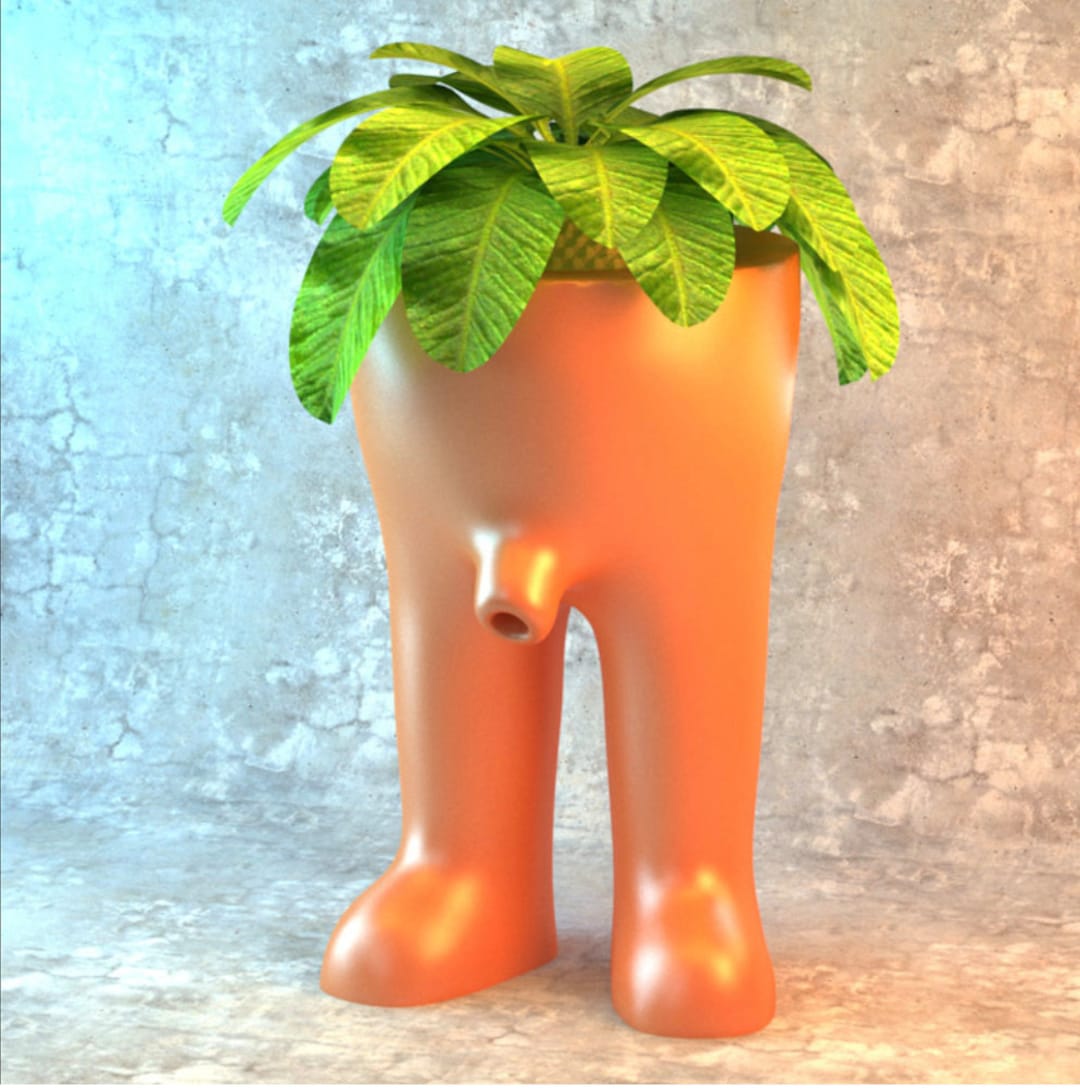ivy plant pot Hedera helix variegata