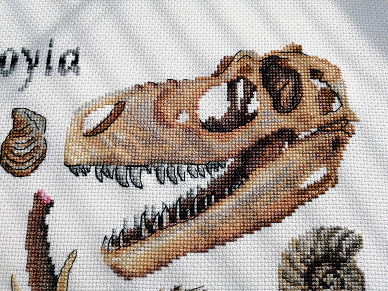 Dinosaur Cross Stitch Paleontology kit Jurassic Fossils Etsy