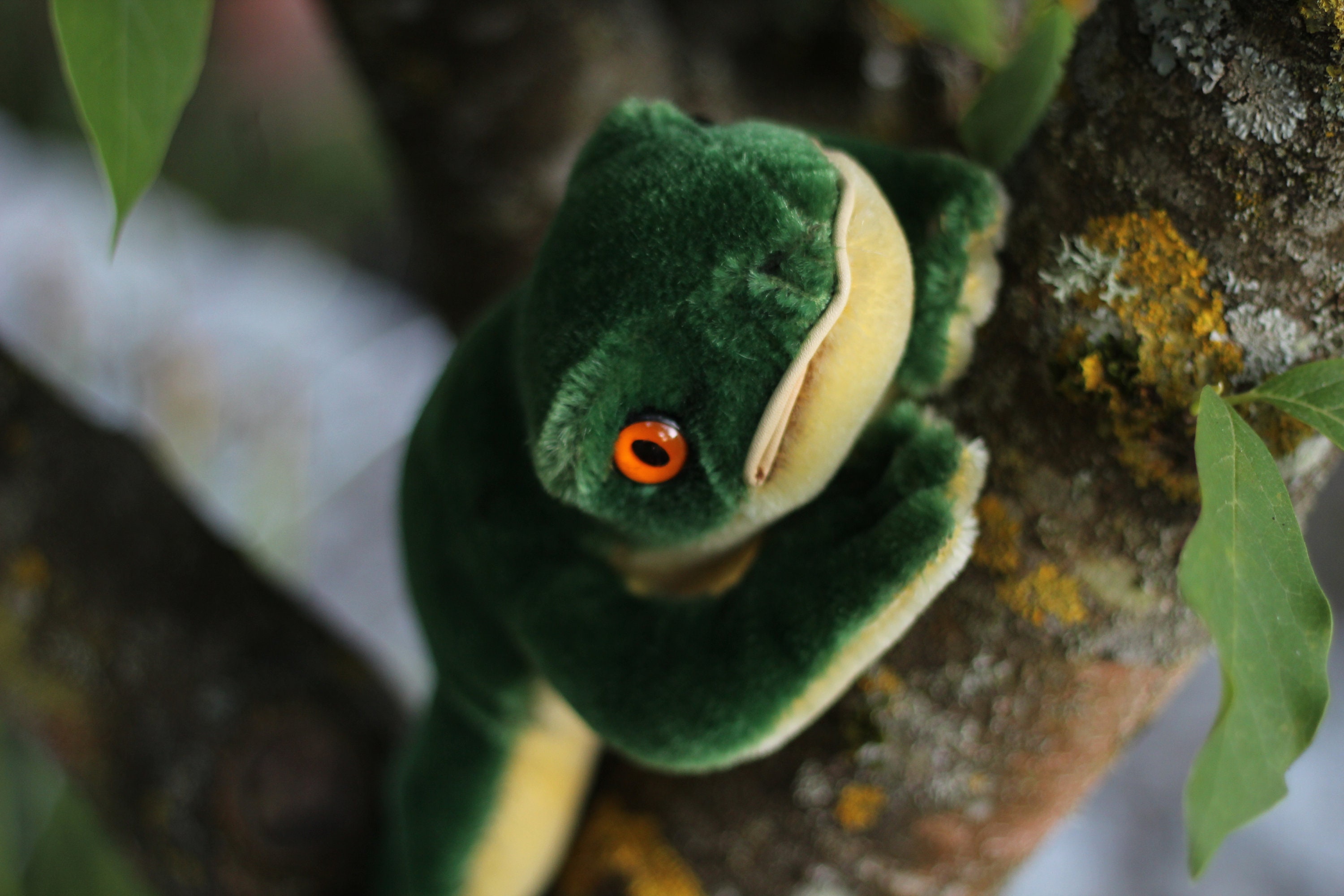 steiff frog value