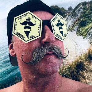 May include: A black baseball cap worn with novelty sunglasses featuring hexagonal pale yellow lenses. Each lens displays a black graphic of a bee with a mustache and crown, with the text MUSTACHE WAX ROYAL HOLD IMPERIAL BEE printed around it.