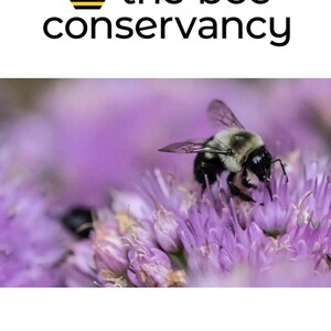 IMPERIAL BEE mustache wax Free Shipping royal hold 1oz Best Buy top handlebar Strong Balm beard style Movember YOU Help Bee Charity • Wax On image 6