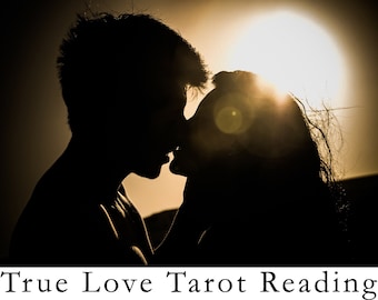 Wahre Liebe Tarot Legung. Zukunfts-Liebes-Lesung. Liebe finden Psychic Reading. Tarotkartenlegung. Wahrsagerin lesend.