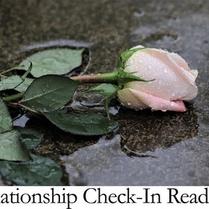 Relationship Check-In Tarot Reading. Your Relationship Tarot or Oracle Reading. Psychic Reading. Tarot Card Reading. Fortune Teller Reading.