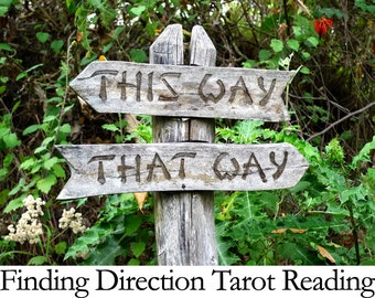 Find Your Path Tarot Reading. Finding Direction Reading. Looking Forward Psychic Reading. Tarot Card Reading. Fortune Teller Reading.