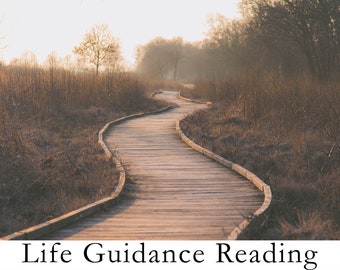 Life Guidance Tarot Reading. Guidance for Life Tarot or Oracle Reading. Psychic Reading. Tarot Card Reading. Fortune Teller Reading.