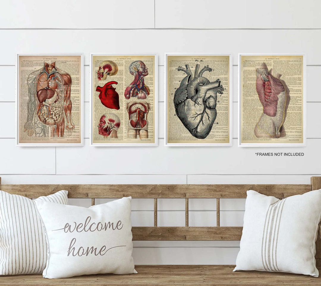 Anatomy Human Body Vintage Victorian Style Set of 4 Art Prints Beige ...
