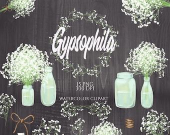 Baby's Breath Clipart, Rustic Wreath Clip Art, White Gypsophila Flower, Watercolor Floral Elements, Vintage Flowers Clipart, Mason Jar, PNG