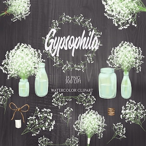 Schleierkraut Clipart, rustikale Kranz Clip Art, weiße Schleierkraut Blume, Aquarell Florale Elemente, Vintage Blumen Clipart, Einmachglas, PNG