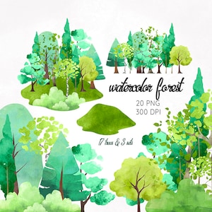 ClipArt di alberi, Clipart di Fores dell'acquerello, Grapchics degli alberi, Albero sempreverde dell'acquerello, Foresta di betulle, Clipart di quercia, Albero di pino di conifere PNG