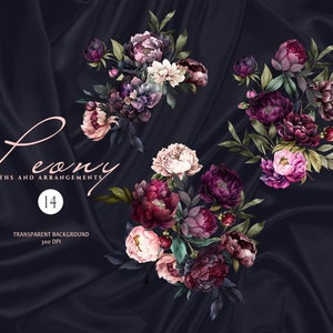 May include: A digital illustration of 14 watercolor peony wreaths and arrangements with a dark blue background. The peonies are in shades of pink, purple, and burgundy.