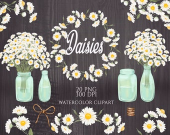 Daisies Clipart, Rustic Wreath Clip Art, Watercolor Daisy, Vintage Flowers Clipart, Watercolor Wild Flowers, Daisy Bouquets, Chamomile, PNG